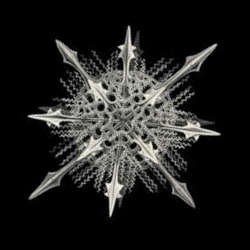 Splash image